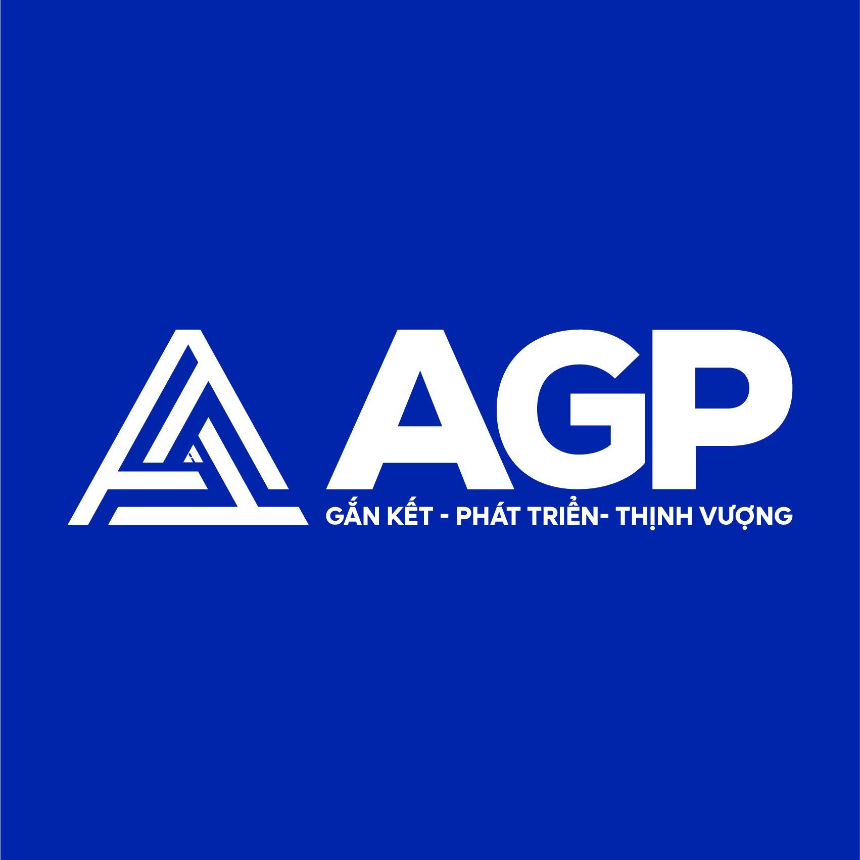 CÔNG TY CỔ PHẦN ĐẦU TƯ DỊCH VỤ VÀ THƯƠNG MẠI AN GIA PHÁT
